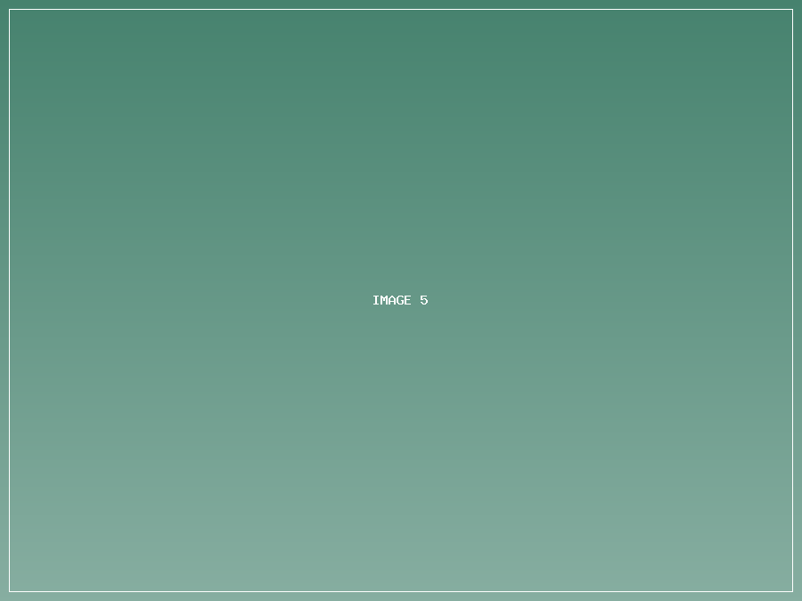 Slide 5